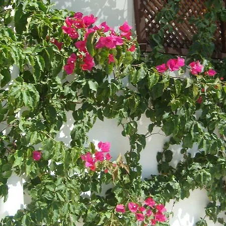 Hotel Asmin