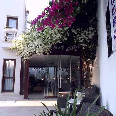 Hotel Asmin 3*
